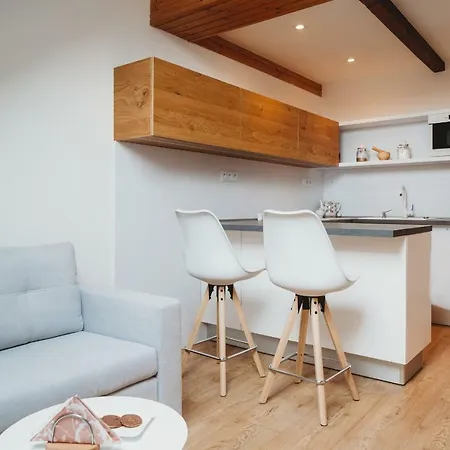 Center City Charming Loft קושיצה