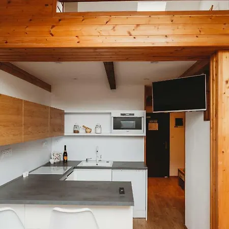 Center City Charming Loft קושיצה